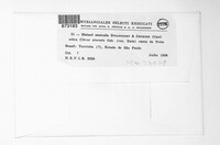 Elsinoe australis image